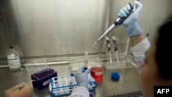 A scientist prepares a blood sample in a laboratory at the Center for Scientific Research Caucaseco in the outskirts of Cali, Colombia, April 25, 2012.
