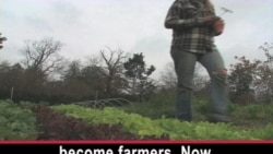 More Young Americans Plant Themselves in Farming