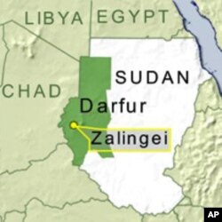 Chad Declines to Arrest Visiting President of Sudan Omar Al-Bashir