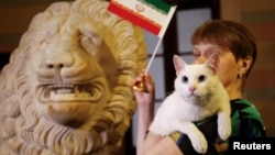 Achilles the cat, one of the State Hermitage Museum mice hunters, chooses Iran while attempting to predict the result of the match of the soccer World Cup between Morocco and Iran in Saint Petersburg, Russia