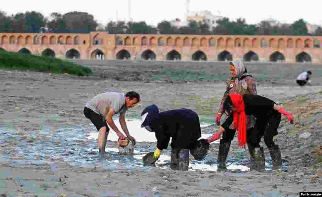 نجات ماهیان در زاینده رود اصفهان توسط مردم در پی خشک شدن دوباره این رودخانه.