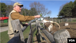 Peter Ten Eyck runs a 120-hectare fruit farm in Altamont, New York. He is a self-described conservative, but remains undecided this election. (R. Taylor/VOA)