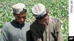Afghan Development Fights Drugs