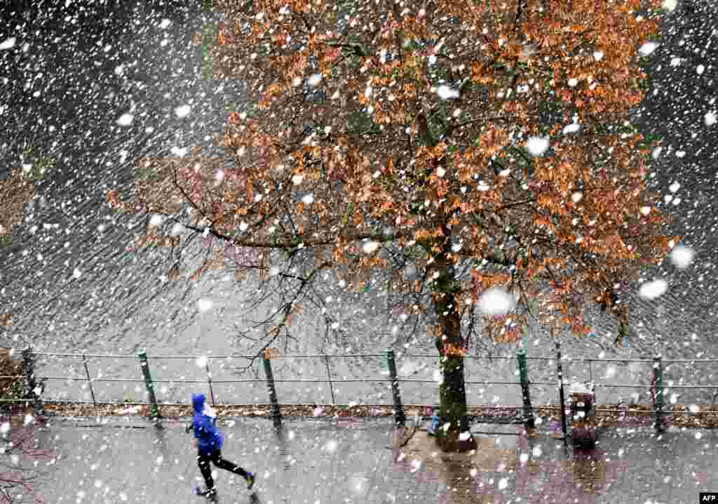 دویدن به هنگام بارش برف در برلین