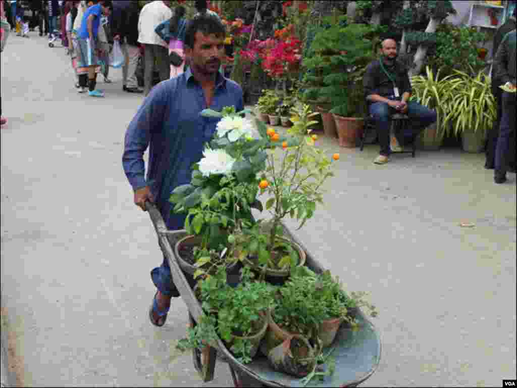 شہریوں نے نمائش سے اپنے من پسند پھولوں کی خریداری بھی کی