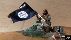 FILE - Undated photo shows fighter of the Islamic State group waving flag from inside captured government fighter jet following battle for Tabqa air base, Raqqa, Syria.
