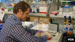 Researcher Jimmy O'Donnell at the University of Washington lab, where he processes eDNA samples. (T. Banse/VOA)