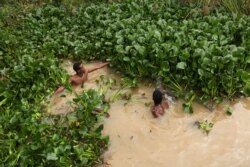 Orang-orang secara manual menghilangkan gulma eceng gondok dari Danau Tana di Bahir Dar, wilayah Amhara di Ethiopia utara. (Foto: Reuters)