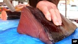 FILE - A fishmonger cuts a joint of Bluefin tuna, which was caught off Thailand, at a stall at the Nice fish market, southeastern France. 