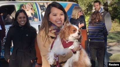 Anjing Kenali Emosi Manusia Lewat Wajah