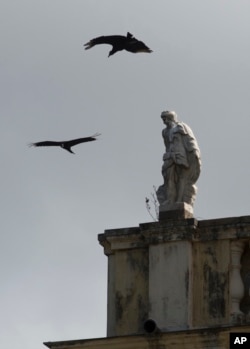 Vultures fly over Brazil's National Museum days after a fire tore through the structure in Rio de Janeiro, Sept. 5, 2018.