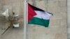 بین الاقوامی فوجداری عدالت: 'فلسطینی علاقے ہمارے دائرہ کار میں شامل ہیں'