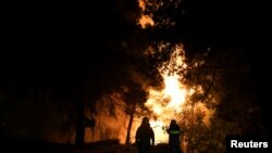 Firefighters looks at rising flames during a wildfire near the village of Psahna, in Evia, Greece, August 12, 2018. 