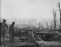Trench warfare during World War I