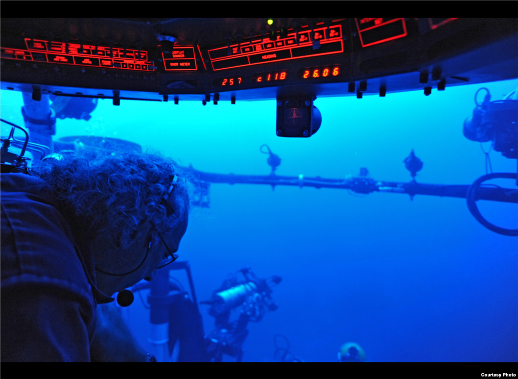 Podmornica Johnson-Sea-Link zaranja do dubine od gotovo 1000 metara. Credit: Sonke Johnsen