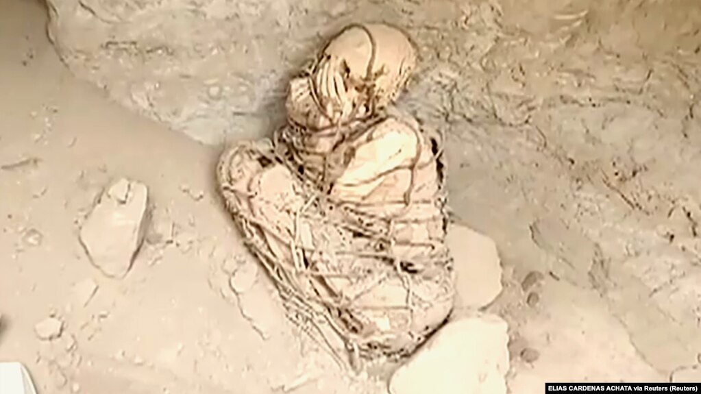 Researchers believe they found an 800 year old mummy outside of Lima, Peru.