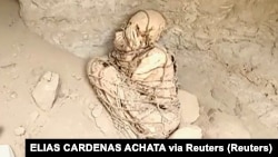 Researchers believe they found an 800 year old mummy outside of Lima, Peru.