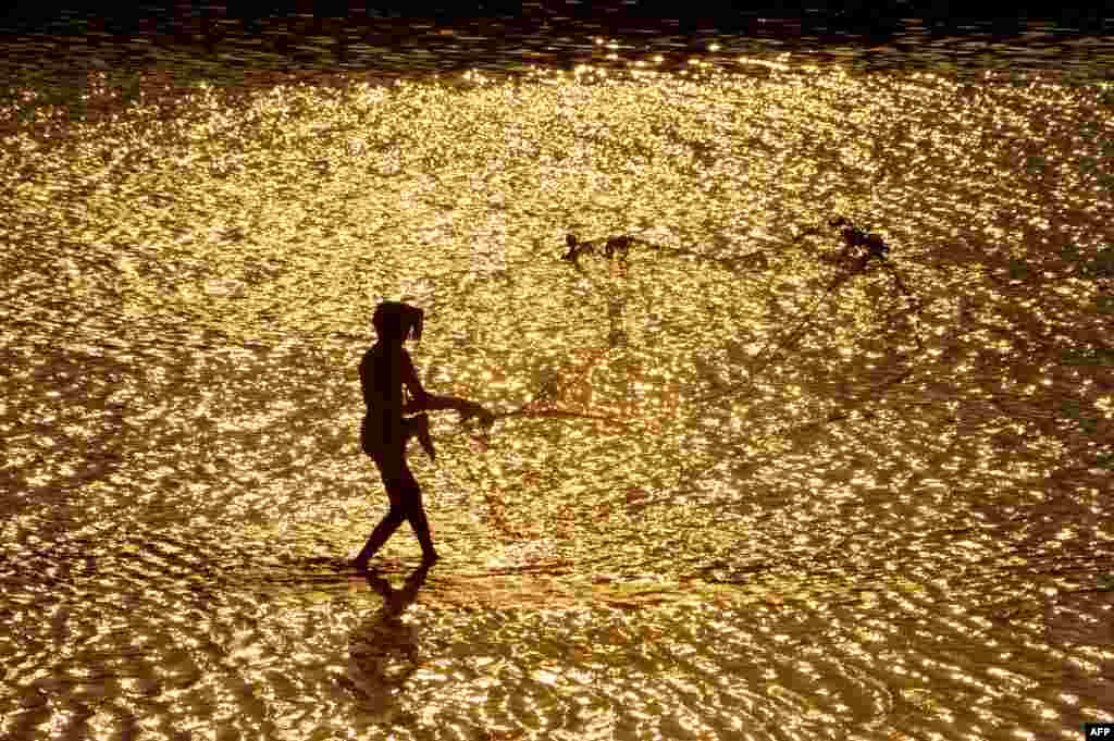 Indian villagers participate in an annual fishing festival at Haripur in Bhargavi River,on the outskirts of the eastern city of Bhubaneswar.