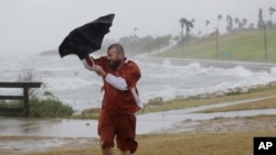 25일 미국 텍사스주 코퍼스크리스티에서 한 남성이 비바람에 뒤집어지는 우산을 붙잡고 있다. 허리케인 '하비'가 25일 늦게 미 남부 텍사스주에 상륙할 예정인 가운데 지역 당국과 주민들이 긴장하고 있습니다. 