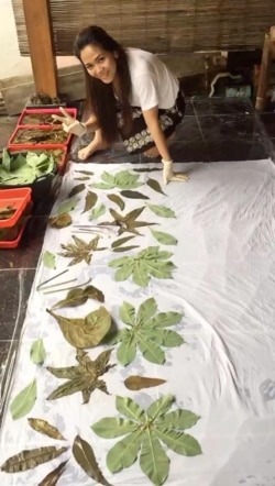 Linna Paendong sedang menerapkan dedaunan di atas kain. (Foto: Courtesy)