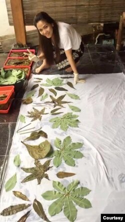 Linna Paendong sedang menerapkan dedaunan di atas kain. (Foto: Courtesy)