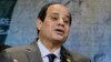 Egypt's el-Sissi Says Alarmed by High Divorce Rates