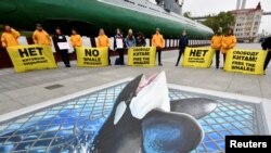 (File) Greenpeace activists hold a protest against the "whale prison," a facility in Primorsky Region, Vladivostok, Russia, May 13, 2019.