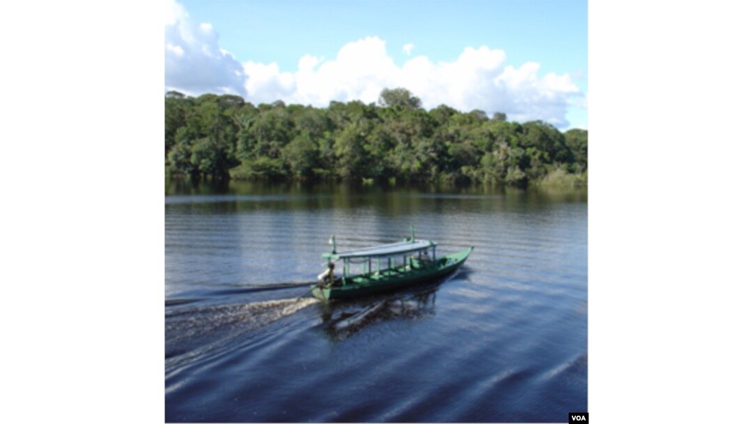 Sungai Amazon di Brazil. Seiring meningkatnya pengrusakan hutan di Amazon, jumlah penderita malaria di daerah ini juga meningkat.