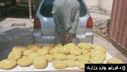له تورنو کسانو سره بېلا بېل نشه يي توکي هم نیول شوي دي.