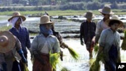 ဇေကမ္ဘာကုမ္မဏီ ကို တရားစွဲမယ့် လယ်သမားအကျိုးဆောင် လှုပ်ရှားမှု