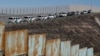 Meksiko Lancarkan Pencarian 19 Migran yang Hilang