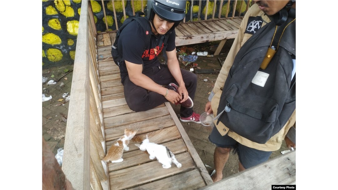 Aktivis Kesejahteraan Hewan, Beri Pakan Ratusan Kucing Jalanan di 