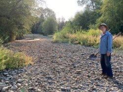 Jack Dwyer stands on the dry creek bed of Deer Creek in Selma, Oregon, Sept. 2, 2021.