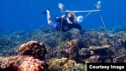 Tim Gordon deploys an underwater loudspeaker on a coral reef in Australia’s northern Great Barrier Reef. Image Credit: Harry Harding, University of Bristol