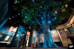 Photo shows an actual piece of the Annapolis, Md., Liberty Tree, embedded into an 18-foot-tall tree replica as a touchable element at the Museum of the American Revolution in Philadelphia. (AP Photo/Matt Rourke)