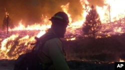 In this photo released by the U.S. Forest Service Wednesday, Aug. 14, 2013, firefighters stand watch near the perimeter of the Elk Complex fire near the small mountain community of Pine, Idaho.