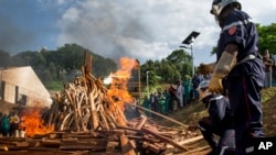 Ivory carvings and elephant tusks are lit on fire by firefighters for the first Cameroon ivory burn, attended by U.S. Ambassador to the United Nations Samantha Power at the Palais des Congres in Yaounde, Cameroon on April 19, 2016, to highlight the need to halt the Ivory trade in order to save Africa's elephants.