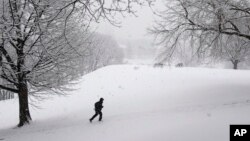 Este invierno ha sido crudo en Nueva York.