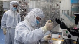 This file photo taken on April 29, 2020 shows an engineer taking samples of monkey kidney cells as he make tests on an experimental vaccine for the COVID-19 coronavirus inside the Cells Culture Room laboratory at the Sinovac Biotech facilities in Beijing. (Photo by NICOLAS ASFOURI / AFP)