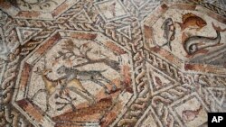 Sebagian dari lantai mozaik berusia 1.700 tahun jaman Romawi ditemukan di Lod, Israel (16/11). 