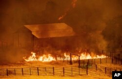 FILE - Flames rise around an outbuilding as a fire burns in Guinda, Calif., July 1, 2018.