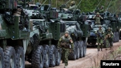 Военные из разных стран НАТО на учениях альянса недалеко от Даугавпилса, Латвия (архивное фото 15 апреля 2020 года. REUTERS/Ints Kalnins)