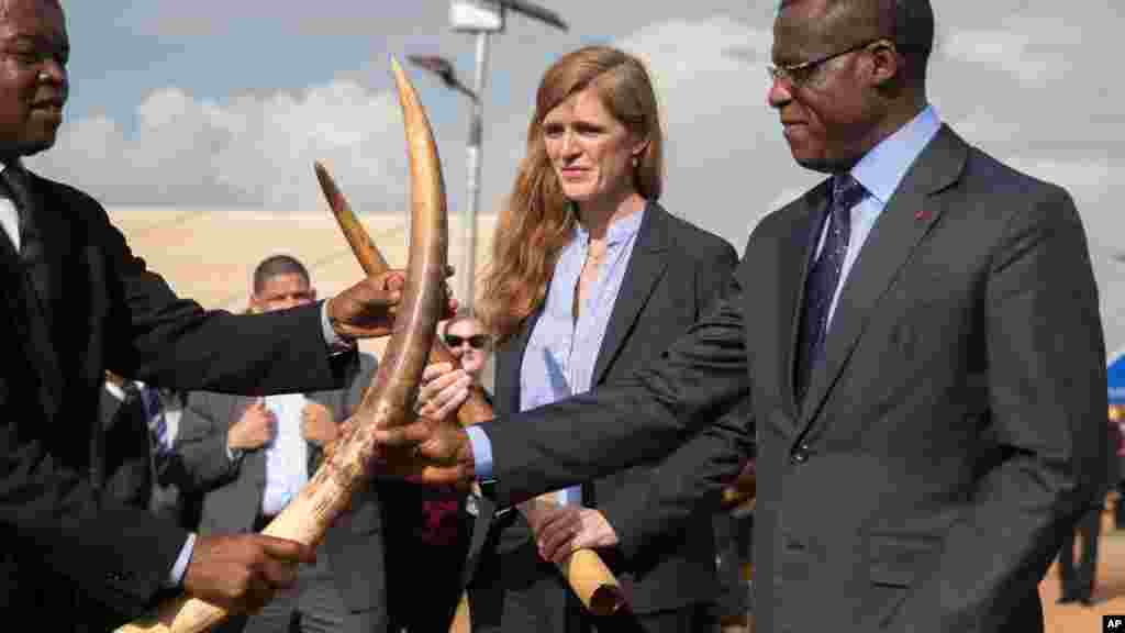 L'ambassadrice américaine aux Nations Unies Samantha Powers, accompagné du ministre camerounais Philip Ngole Ngwese, assiste à la destruction des défenses saisies, Palais des Congrès, Yaoundé, 19 avril 2016. 