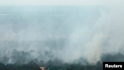 Asap membubung dari hutan yang terbakar dan menyebabkan kabut asap di Riau. (Foto: Dok)