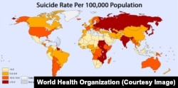 Chart: Global Suicide Rates by Country