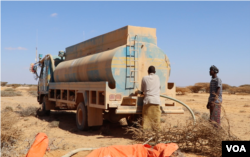FAO trucks deliver drinking water to thirsty livestock, in the Puntland desert, Somalia, March 2017. (N. Wadekar/VOA)