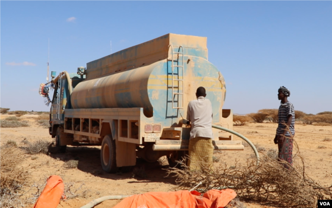 FAO trucks deliver drinking water to thirsty livestock, in the Puntland desert, Somalia, March 2017. (N. Wadekar/VOA)