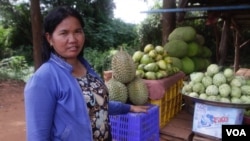 Son Phal, 38, lives in Treng Troyoeng commune and earns her living by selling fruits, Kampong Speu province, Cambodia, June 2, 2017. (Sun Narin/VOA Khmer),