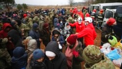 Belarus Kızılhaç Örgütü çalışanları, sınırdaki göçmenlere yardım ediyor.