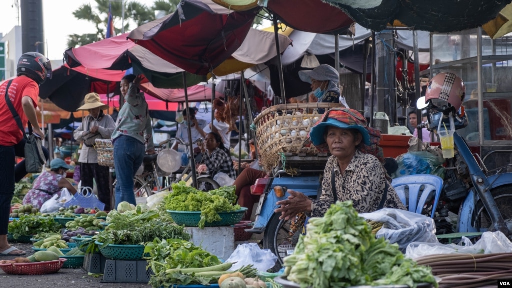 រូបឯកសារ៖ ស្ត្រីម្នាក់អង្គុយលក់បន្លែក្នុងផ្សារមួយក្នុងរាជធានីភ្នំពេញប្រទេសកម្ពុជានៅពេលចុងសប្តាហ៍កាលពីថ្ងៃទី២៩ ខែសីហា ឆ្នាំ២០២០។ (ទុំ ម្លិះ/វីអូអេ)